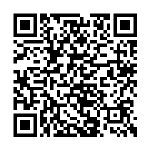 我会让那些家猫们见识一下什么才是真正的爪子二维码生成