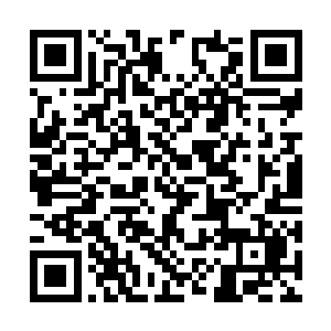 我估计天一域子看中的就是秦宇在灵石上面的造诣二维码生成
