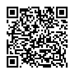 我低头看了看手里那件洗得已经发白的蓝布衣裳二维码生成