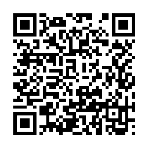 我体内的血脉绝对可以晋升到一个前所未有的地步二维码生成