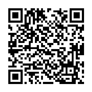 我体内的逆天神物可以阻挡那些雾气对灵魂的侵蚀二维码生成