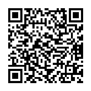 我便扯上这老家伙的性命和王伦的信誉来做它个垫背二维码生成