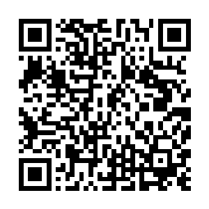 我便拥有了近乎无限的知识和一种无法磨灭的使命感二维码生成