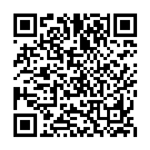 我便看到那个穿着朴素的胖子手中牵着一根绳子二维码生成