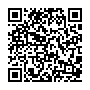 我保证以联邦国父的滔天权势帮你上下活动一下二维码生成
