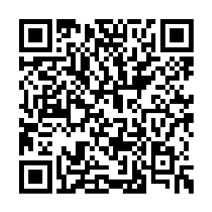 我保证里面的所有东西都是从拉斯维加斯运来的二维码生成
