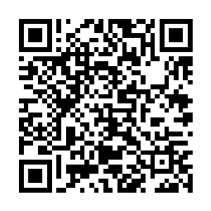 我倒是更喜欢那些拯救母牛性命的小牛仔们多一些二维码生成