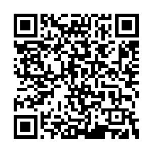 我倒看看这英雄册上我文丑的名字又能排到第几二维码生成