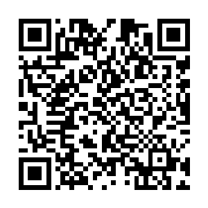 我倒要看看这些鸟人跟以前的时候那些鸟人有什么不同二维码生成