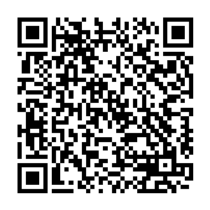 我儿子说他感觉考试的时候所有的题好像都在脑子里过滤了一遍似得……二维码生成