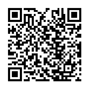 我先不管三七二十一将这只白猫扔出去挡一下再说二维码生成