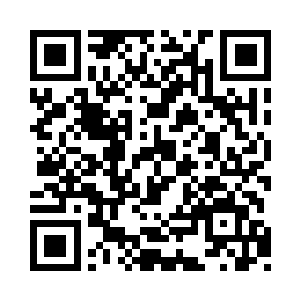 我再也不敢跟你作对了……求求你别打我了二维码生成