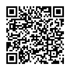 我决定在一个月内把方寸公司在梨花村的全部项目撤出二维码生成