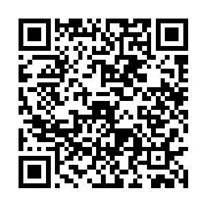 我冷冷回顾了一眼围而不动的神剑宗精锐以及弟子二维码生成