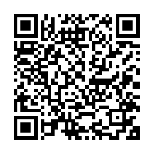 我几岁的时候都能被一具金蚕蛊操控的老货僵尸给差点整没命二维码生成