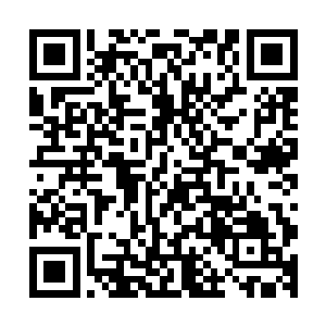 我分明感知到了这块木板上的阴煞之气要比周围的浓郁得很多二维码生成
