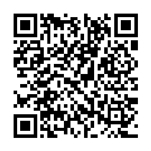 我刚刚得到福克斯电视台一名记者传来的确切消息二维码生成