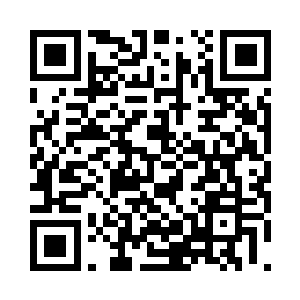 我刚才说的是你作为大梦董事长要做的事二维码生成