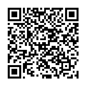 我到底要看看柳家和沈家会派出多少人去拦截诛杀钰儿二维码生成