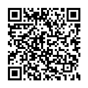 我却是可以清楚看到无数浅淡人影在半空中盘旋二维码生成