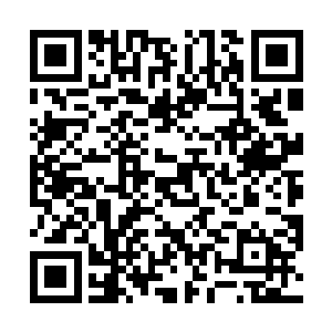我原本以为和梁长兴的合作仅仅限于对付省城的老家伙二维码生成