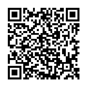 我原本就需要你们两个保护我抵达真正的目的地二维码生成