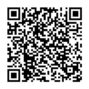 我原本还以为万法之心的果实会是小树所能生长出来的最后一种果实二维码生成