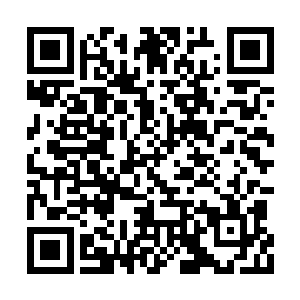 我又在校门口叫了几个我认识的混混和我一起去二维码生成