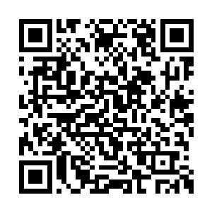 我只不过是觉得那天她和定王妃在一起聊了许久二维码生成