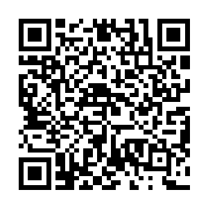 我只会给他们带来虚幻的心理安慰和一剂短暂的精神药剂二维码生成
