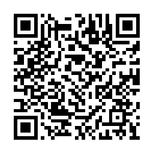 我只想在这个世界上有一个和我血脉相连的亲人二维码生成