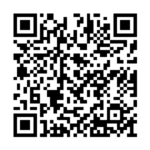 我只想要一棵小树你却给了我整片森林啊有木有二维码生成