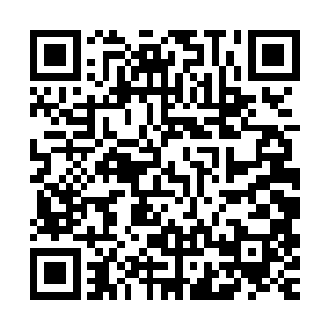 我只是一些零散的记忆碎片经过漫长时间演变而形成的幻影……二维码生成