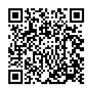 我只知道需要用木属性的灵药来喂食这瓶子中藏匿的灵兽二维码生成