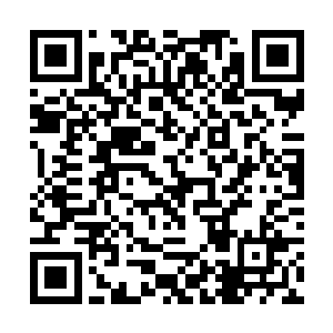 我只负责这个全发生物制剂有限公司的财务报表统计二维码生成