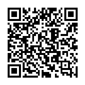 我可不希望你会被以后可能碰到的难题挫伤了积极性二维码生成