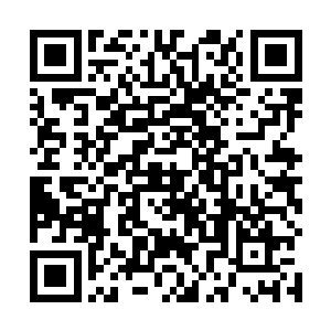 我可不想看到你去踢馆结果却被人狠狠教训一顿的下场二维码生成