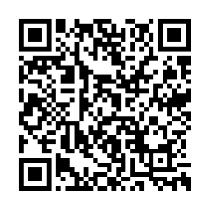 我可从不知道你们远古龙族还有送人礼物的习惯二维码生成