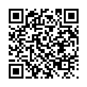 我可从来没什么不对女人动手的规矩二维码生成