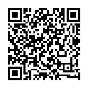 我可以把你全身的骨骼锤炼到能胜任sss级军防机甲的强度二维码生成
