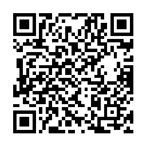 我可是听说中南海被称为这个世界上戒备最森严的地方二维码生成