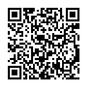 我可是大老远从燕京专程过来看看爷爷的病情如何了二维码生成