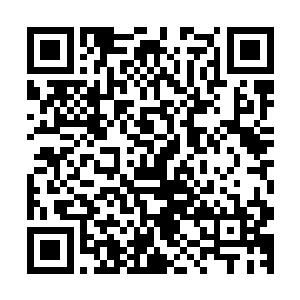 我同意拍摄这样一部自传体的电影不仅仅是为了扬名或者赚钱二维码生成