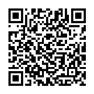 我后退一步一把便从身后掏出了桃木剑随后一剑斩出二维码生成