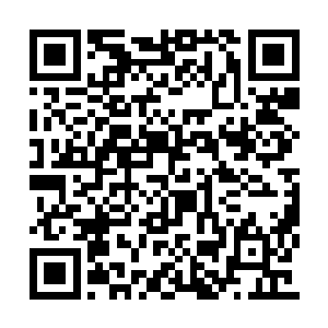 我听到远处的雪山上传来的一记惊天动地的咆哮二维码生成