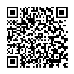 我听安妮公主提起了一些洛克菲勒家族与欧洲诸国的过往历史二维码生成