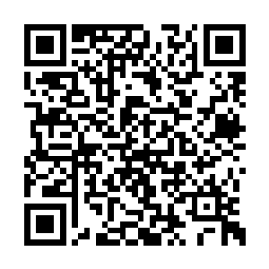 我听小胖说你在外面的世界还创立了一个什么城二维码生成