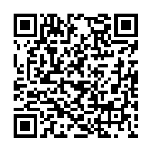 我听说吞党的首领正是凝聚了四个脉轮的苍穹骑士二维码生成