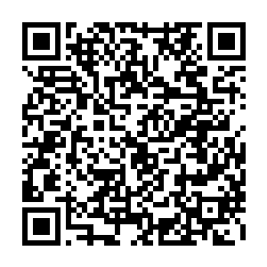 我听说帝国很多大人物都会用自己的血裔来进行各种各样的强化改造试验二维码生成