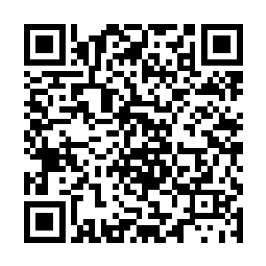 我听说日乾罗能够击败亚利靠的是突袭不是真正实力二维码生成